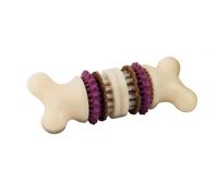 PetSafe - Jouet pour chien Busy Buddy Bristle Bone (S) - Jouet dentaire avec friandise
