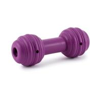 PetSafe Jouet chien Busy Buddy Chuckle distributeur friandises rebondissant idéal dents souples