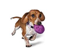 PetSafe Busy Buddy Twist 'n Treat Jouet Distributeur pour Chien Taille S