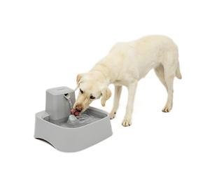PetSafe Drinkwell Fontaine, 7,6L