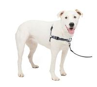 PetSafe Easy Walk Deluxe Harnais pour Chien Anti-Traction - Parfait pour Le Dressage de la Laisse et du Harnais - Empêche Les Animaux de Tirer et de s'étouffer Lors des promenades - M/L - Acier