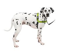 PetSafe Easy Walk Deluxe Harnais pour Chien Anti-Traction - Parfait pour Le Dressage de Laisse et Harnais - Empêche Les Animaux de Tirer et de s'étouffer Lors des promenades - Taille L, Pomme