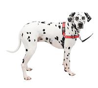 PetSafe Easy Walk - Harnais pour Chien de Luxe Anti-Traction - Parfait pour Le Dressage de Laisse et de Harnais - Empêche Les Animaux de Tirer et de s'étouffer Lors des promenades - Taille L, Rose