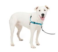 PetSafe Easy Walk Deluxe Harnais pour Chien Anti-Traction Parfait pour Le Dressage de Laisse, empêche Les Animaux de Tirer et de s'étouffer Lors des promenades, Taille M et L, Motif océan