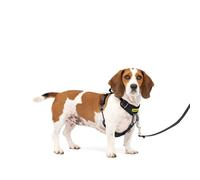 PetSafe Easy Walk Harnais confortable anti-traction pour chien Rembourrage intégral - Meilleure marche lors de la première utilisation - 5 points de réglage S/M - Noir