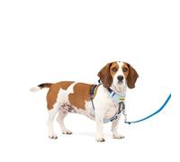 PetSafe Easy Walk Harnais confortable anti-traction pour chien Rembourrage intégral - Meilleure marche lors de la première utilisation - 5 points de réglage S/M - Bleu