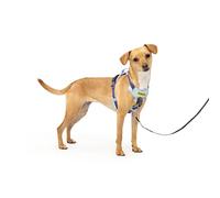PetSafe Easy Walk Harnais confortable anti-traction pour chien Rembourrage intégral - Meilleure promenade à la première utilisation - 5 points de réglage pour chiens de taille XS, S, M et L, bleu/noir