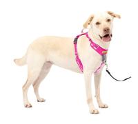 PetSafe Easy Walk Harnais Confortable Anti-Traction pour Chien Rembourrage intégral - Meilleures promenades Lors de la première Utilisation - 5 Points de réglage Taille L Rose