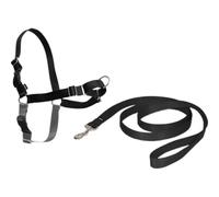 PetSafe Harnais Easy Walk – Boucle anti-traction, laisse 1,8 m, 4 points de réglage – Noir L