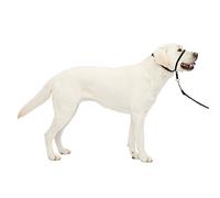 PetSafe Easy Walk Headcollar