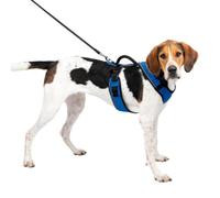 PetSafe Harnais pour chien EasySport – Poignée de contrôle, réfléchissant, ajustable – Bleu L