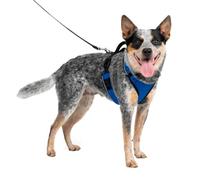 PetSafe Harnais pour chien EasySport - Poignée de contrôle, Réfléchissant, Rembourré - Bleu M