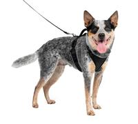 PetSafe EasySport Harnais, Moyen, Noir