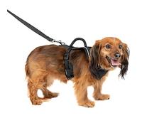 PetSafe Easysport Harnais Noir Taille XS