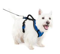 Petsafe Harnais pour chien EasySport – poignée de contrôle, réfléchissant, rembourré – Bleu S
