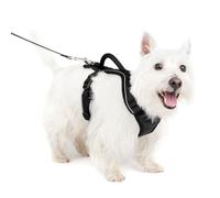 PetSafe EasySport Harnais, Petit, Noir