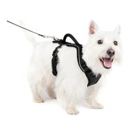 Petsafe Harnais pour chien EasySport – Poignée de contrôle, Réfléchissant, Rembourré – Noir S
