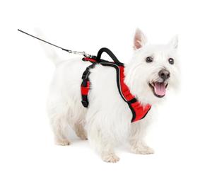 PetSafe EasySport Harnais, Petit, Rouge