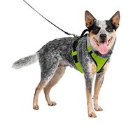 PetSafe Easysport Harnais Pomme Taille M