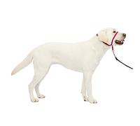 PetSafe Gentle Leader Licol anti-traction pour chien - La solution ultime pour tirer - Redirige la traction de votre chien pour des promenades plus faciles - Vous aide à reprendre le contrôle - Taille