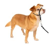 PetSafe Gentle Leader Licol avec entraînement DVD