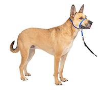 PetSafe Gentle Leader Licol avec entraînement DVD