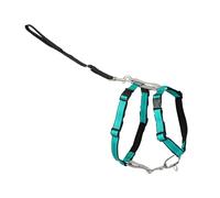 PetSafe : Harnais 3 en 1 et Dispositif de retenue pour Chien