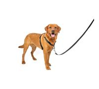 PetSafe Harnais 3-en-1 pour Chien - Ceinture de Sécurité pour Voiture - Anti-Traction - Confortable, Coutures Réfléchissantes - Noir, L