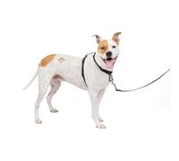 PetSafe Harnais 3 en 1 et dispositif de retenue pour voiture (moyen, noir)
