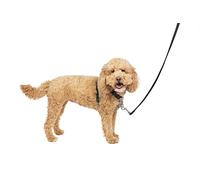 PetSafe Harnais 3-en-1 pour Chien - Ceinture de Sécurité pour Voiture - Anti-Traction - Confortable, Coutures Réfléchissantes - Noir, S