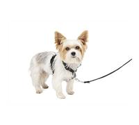 PetSafe Harnais 3-en-1 pour Chien - Ceinture de Sécurité pour Voiture - Anti-Traction - Confortable, Coutures Réfléchissantes - Noir, XS