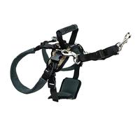 PetSafe Harnais de Levage Arrière CareLift - pour Chiens Infirmes ou âgés - Soulèvement à l'aide d'une Poignée et d'une Bandoulière - Matière Respirante et Confortable - Réglage Facile - Chien Moyen