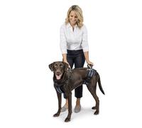 PetSafe Harnais de Levage CareLift pour Les Chiens infirmes ou âgés - Soulèvement de Tout Le Corps à l'aide d'une poignée - Matière Respirante et Confortable - Réglage Facile - Grand Chien