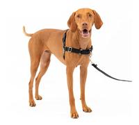 PetSafe Harnais Easy Walk avec boucle Anti-Traction et laisse de 1,8 m, promenade confortable pour vous et lui, 4 points de Réglage, Résistant, facile à mettre et enlever, Noir, taille M