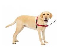 Petsafe Harnais Easy Walk – Boucle anti-traction, laisse 1,8 m, 4 réglages – Rouge L