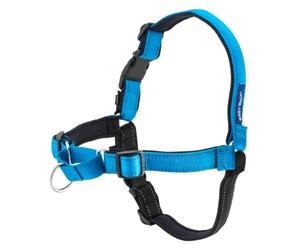 PetSafe - Harnais Easy Walk Deluxe, Harnais de Marche sans Traction pour Chiens, Design rembourré, Comprend Une Laisse de 1,8 m, Bleu océan/Noir, L - Grand