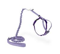 PetSafe Harnais et Laisse élastique Come with Me Kitty