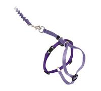 PetSafe Harnais et Laisse élastique Come with Me Kitty