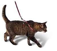 PetSafe Harnais pour Chats Easy Walk avec Laisse élastique - Promenade en Toute sécurité - Taille réglable - Grand (L), Rouge