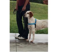 PetSafe - Harnais pour Chien Deluxe Easy Walk (M), Réfléchissant, Confortable, Résistant, Facile à Utiliser, Anti-Traction - Bleu