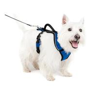 EASY WALK Harnais S - Bleu - Pour chien