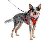 PetSafe - Harnais pour Chien EasySport avec Poignée de Contrôle, Réfléchissant, Ajustable Confortable, Rembourré - Rouge, M