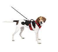 PetSafe - Harnais pour Chien EasySport avec Poignée de Contrôle, Réfléchissant, Ajustable Confortable, Rembourré - Rouge, L