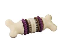 PetSafe - Jouet pour Chien Busy Buddy Bristle Bone (S), Jouet Dentaire avec Friandise - Brosse à Dents pour Chien