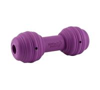 PetSafe - Jouet pour Chien Busy Buddy Chuckle, Jouet à Mâcher Distributeur de Friandises, Idéal Dents Souples, Rebondissant