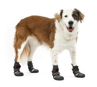 PetSafe Kurgo Blaze Bottes, L, Rouge Piment/Noir