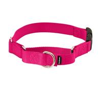 PetSafe Martingale Collar with Quick Snap Buckle, 3/4" Medium, Raspberry