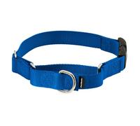 PetSafe Martingale Collier pour Chien avec Boucle Rapide, Bleu Roi,Taille S, 1,9 cm