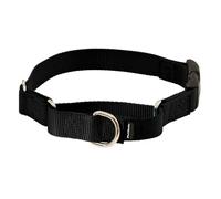 PetSafe Petite Martingale Collier avec Boucle Quick Snap