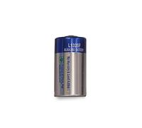 PetSafe Pile Alcaline pour Chien 6 V